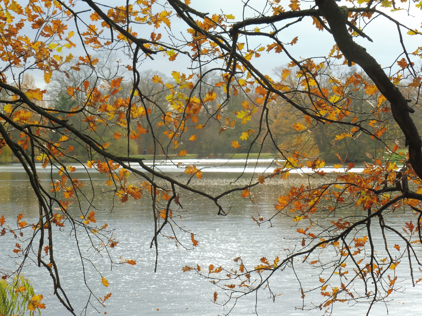 *Herbst*