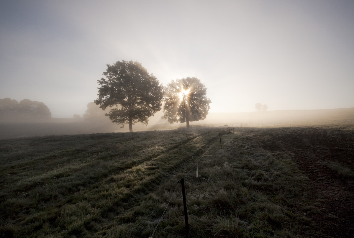 Herbst