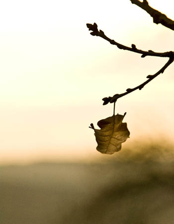 Herbst ...