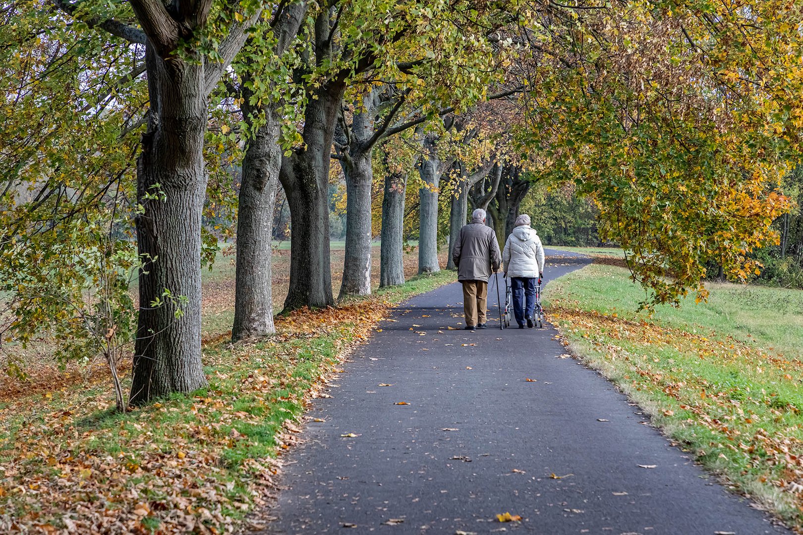 Herbst