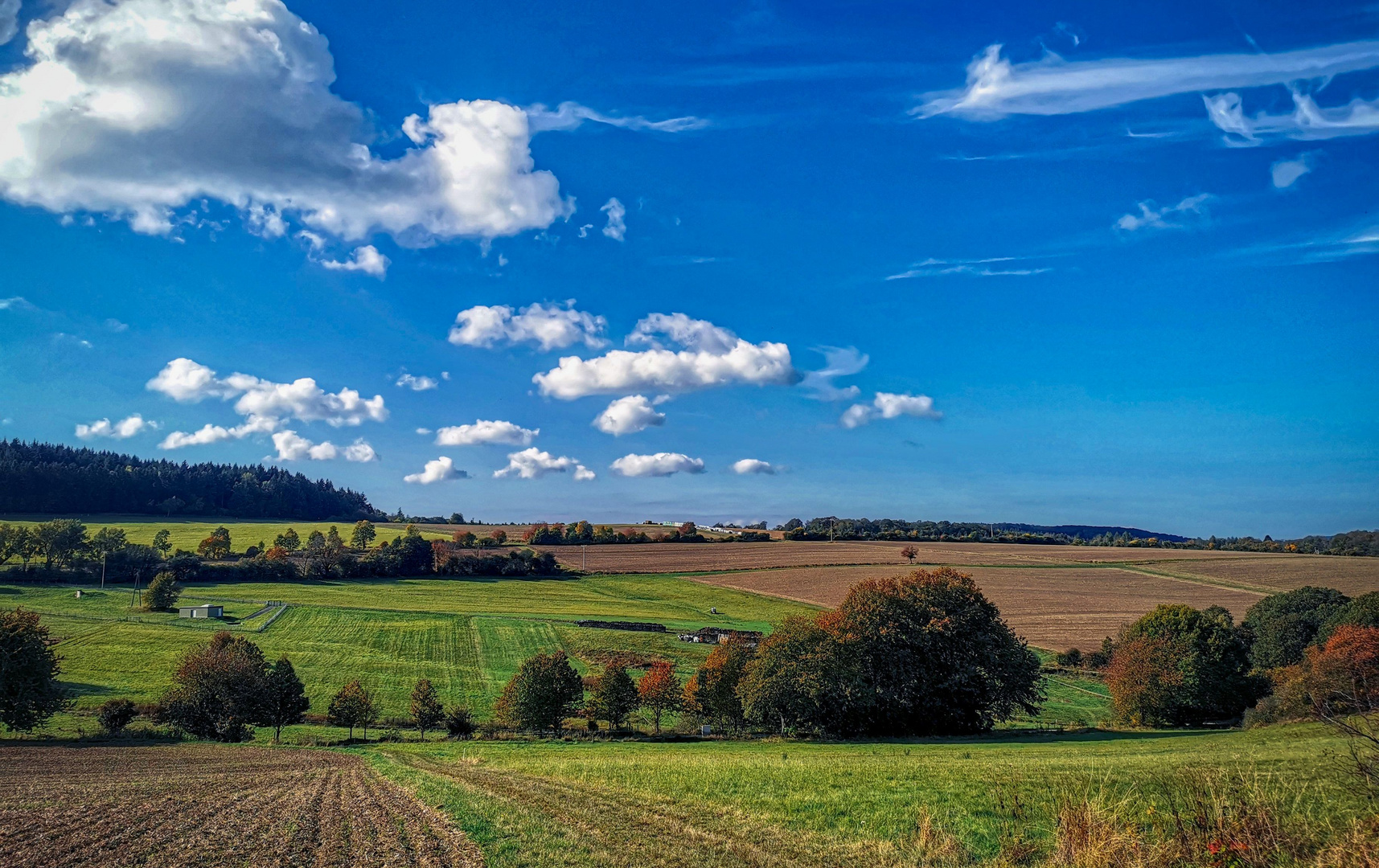 Herbst