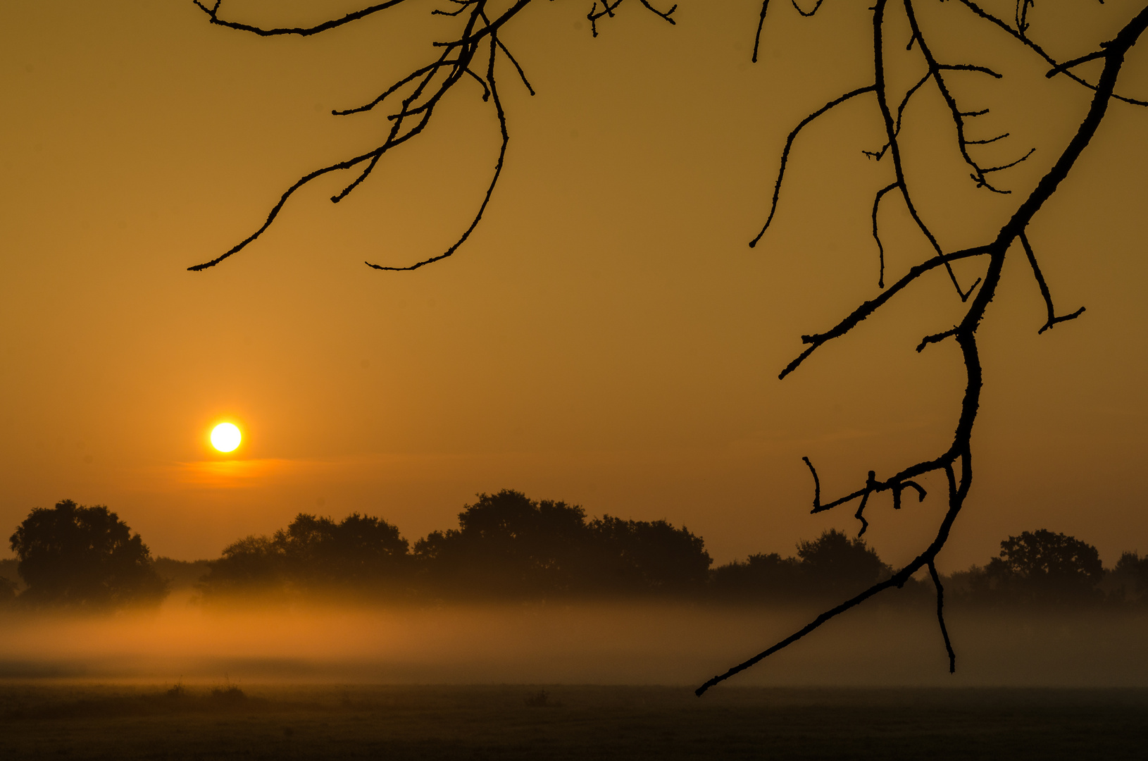 Herbst