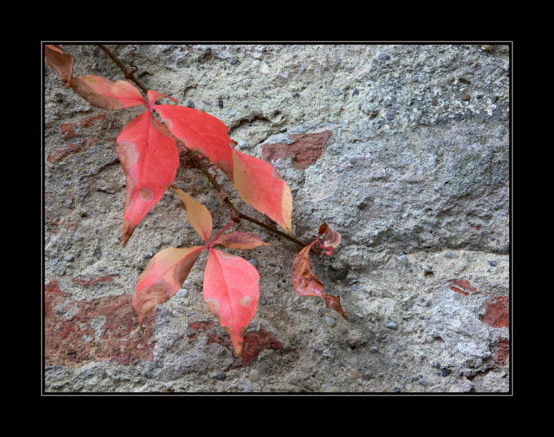 Herbst....