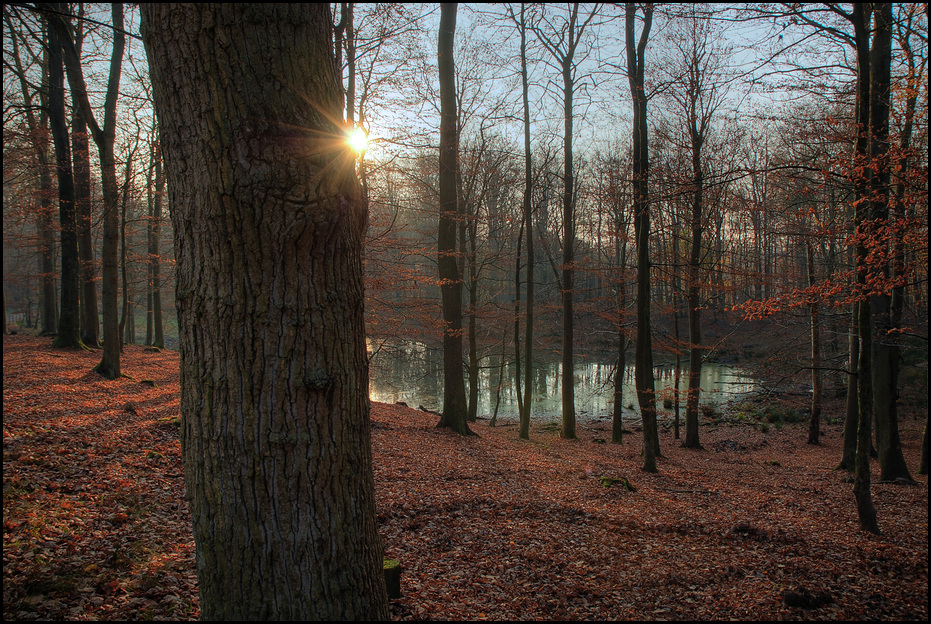 ...Herbst...