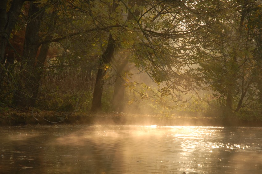 Herbst