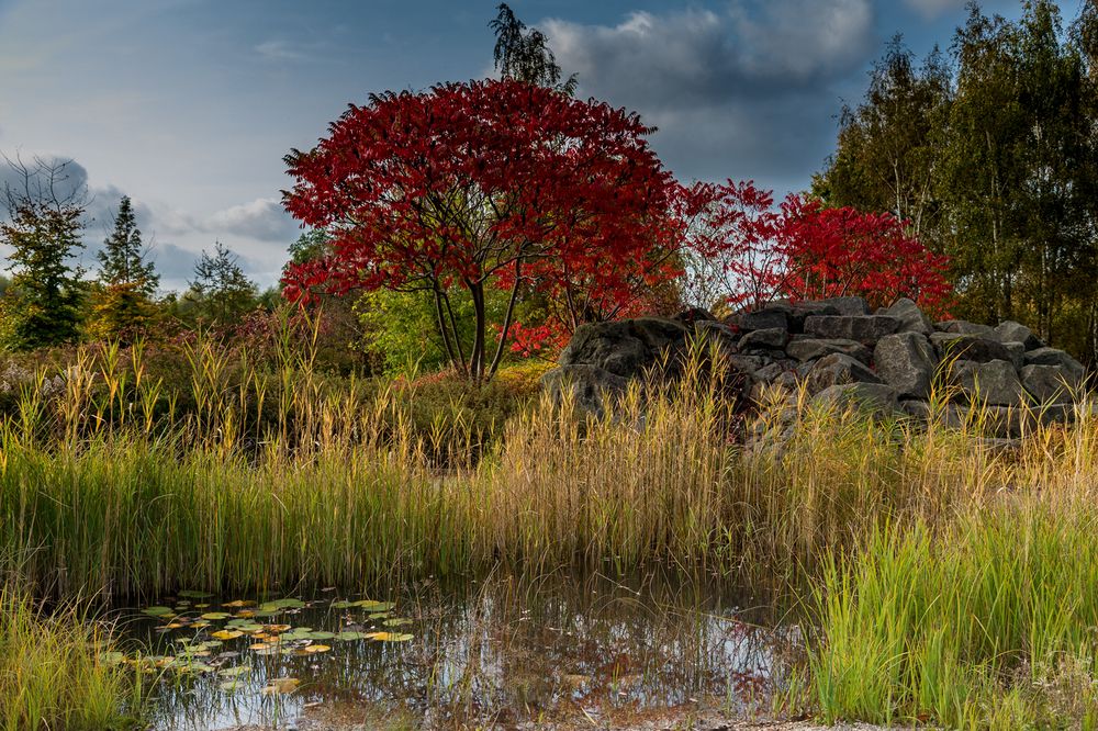 Herbst