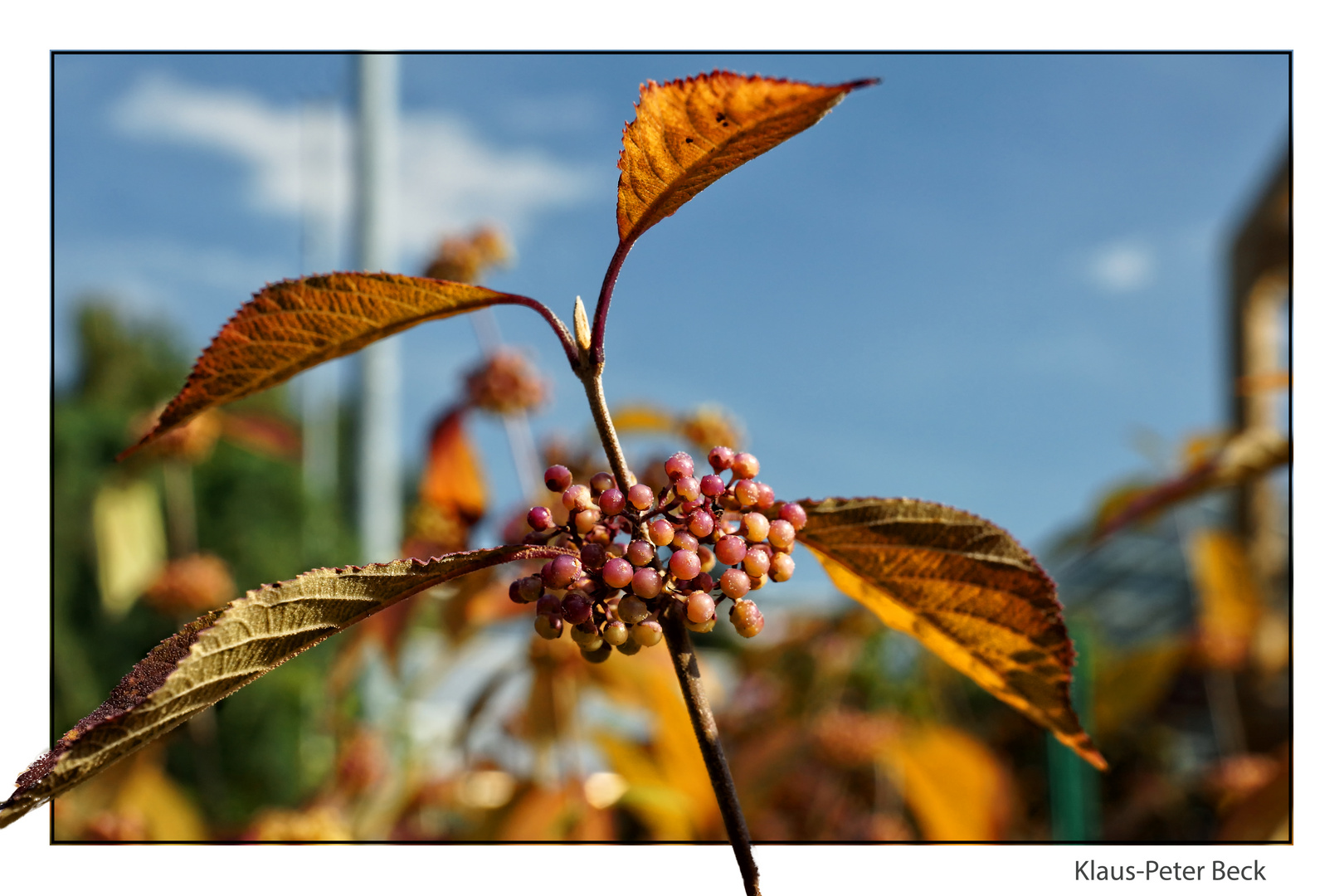 Herbst