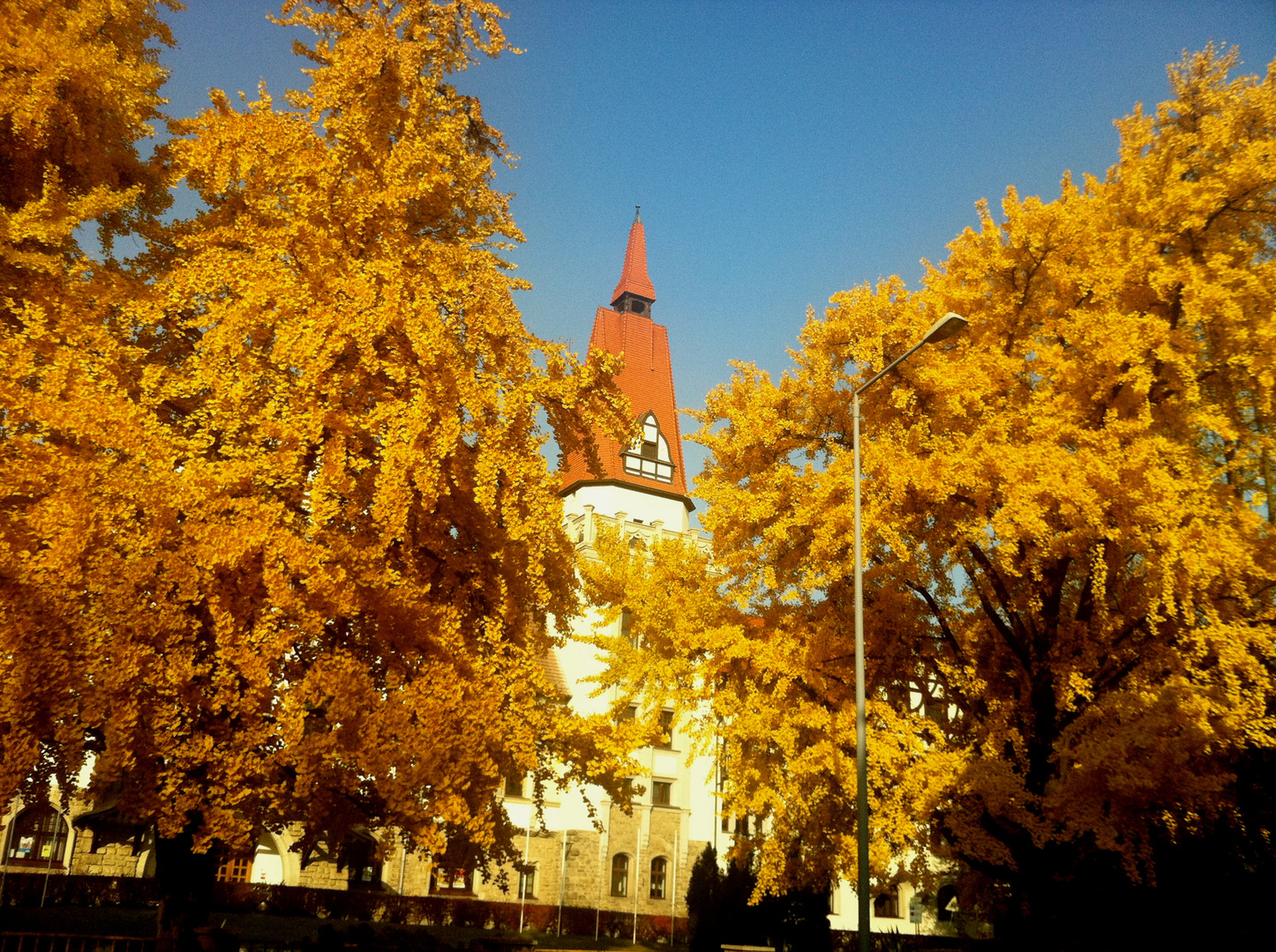 herbst