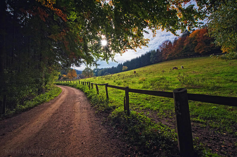 Herbst...