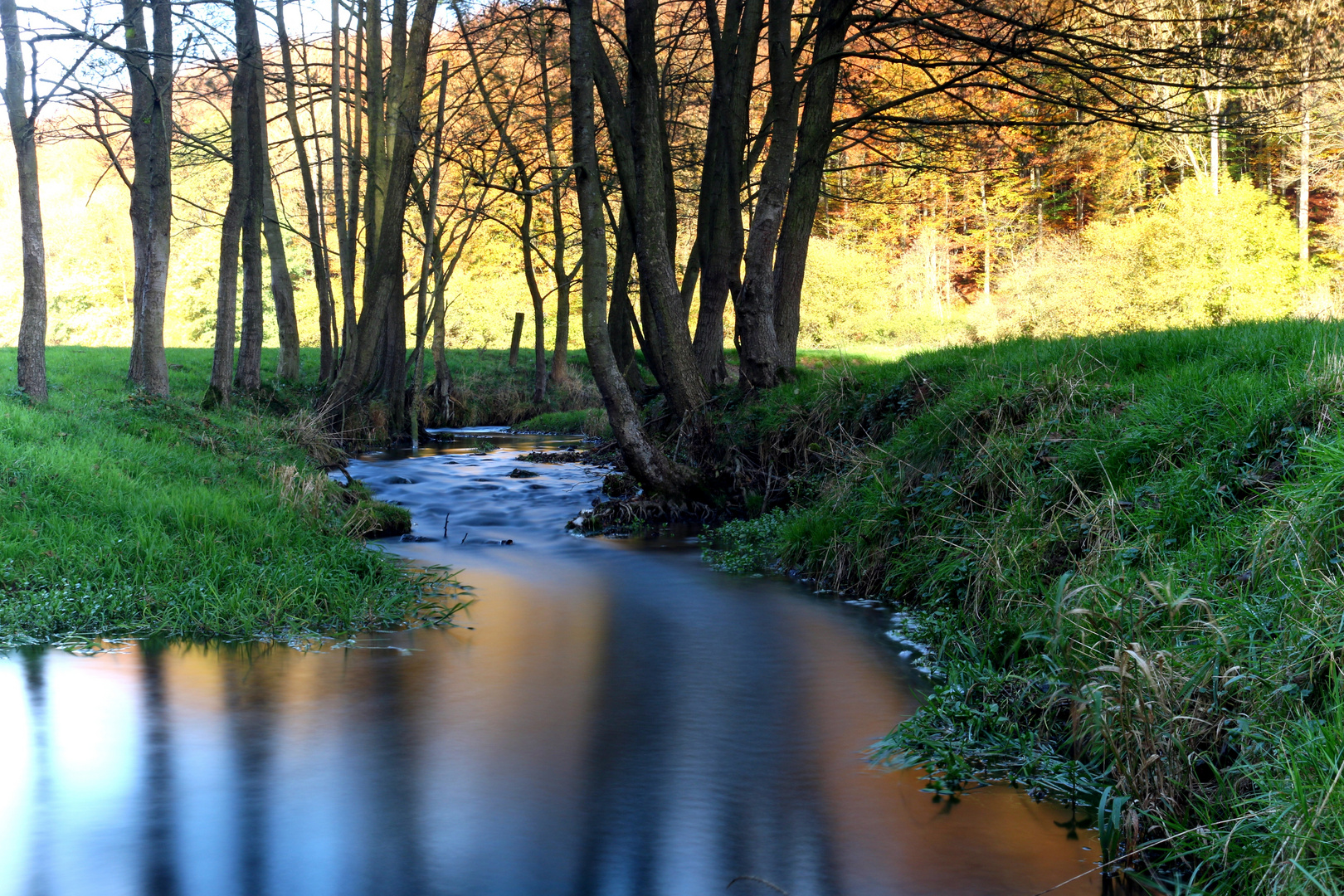 Herbst Bach