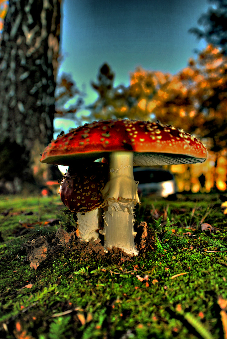 Herbst Bad Soden Salmünster