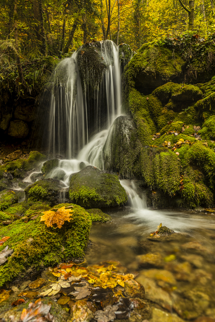 Herbst Bärenschützklamm