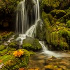 Herbst Bärenschützklamm