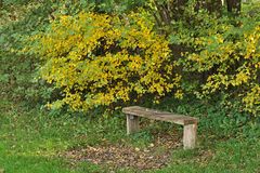Herbst – Bank