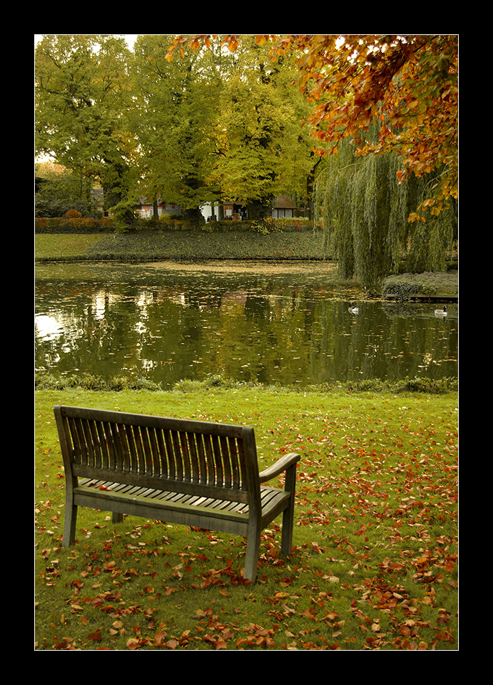 Herbst - Bank - Teich