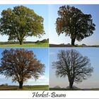 Herbst-Baum