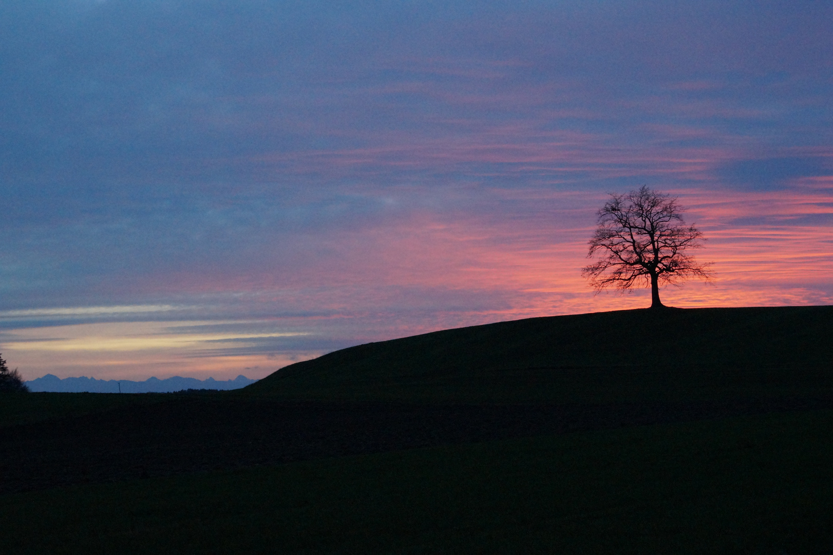 Herbst, Baum bei Sonnenuntergang