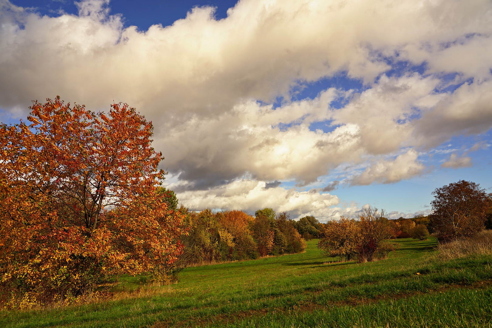 Herbst