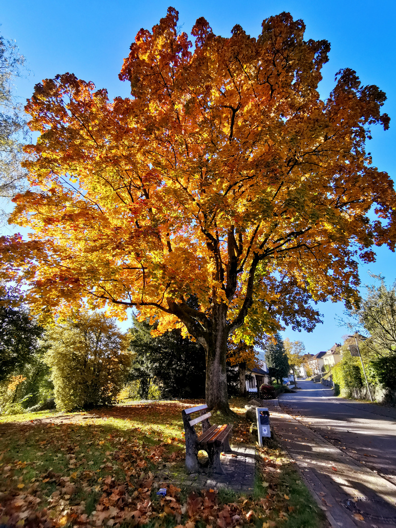 Herbst 