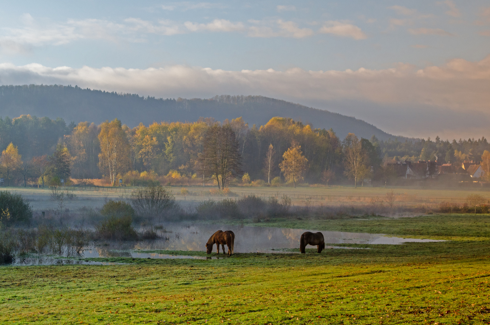 Herbst