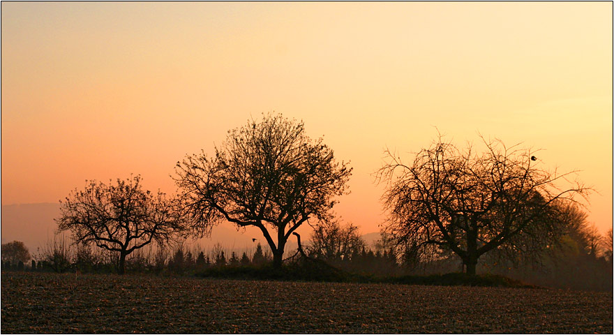 Herbst...