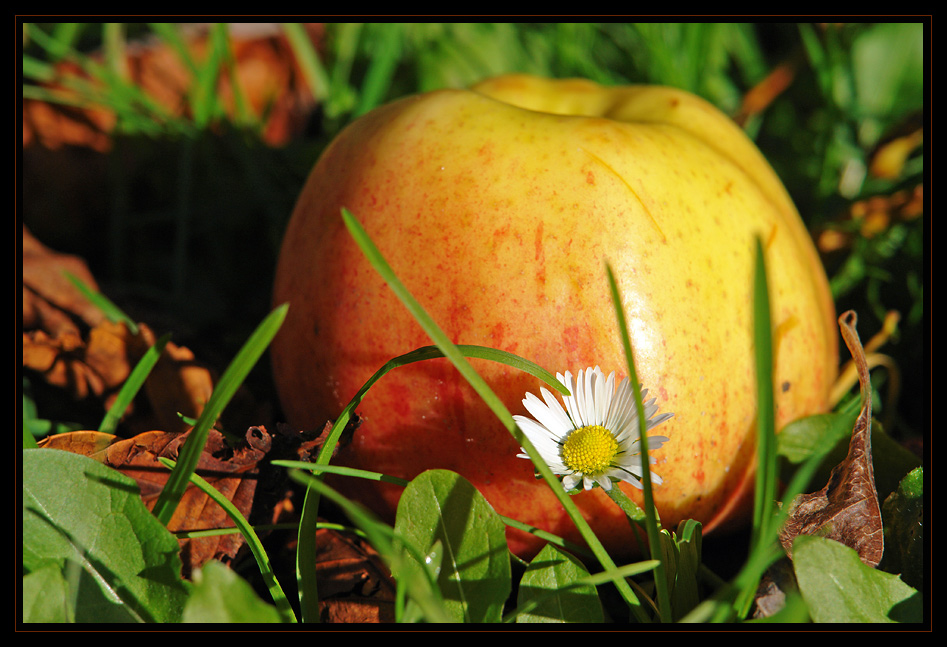 Herbst