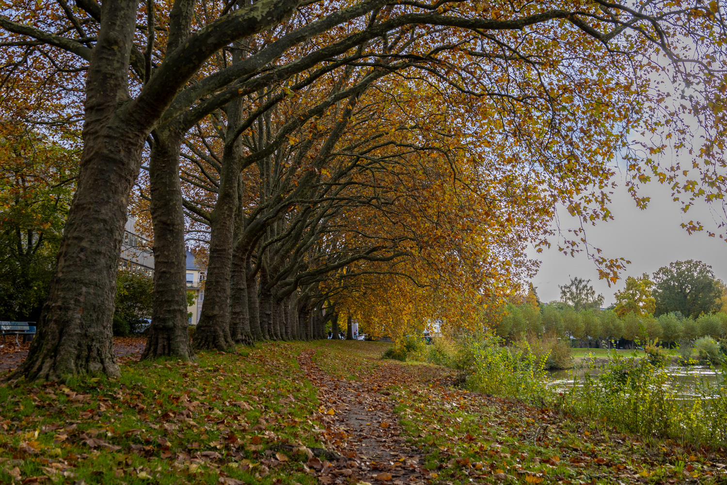 Herbst