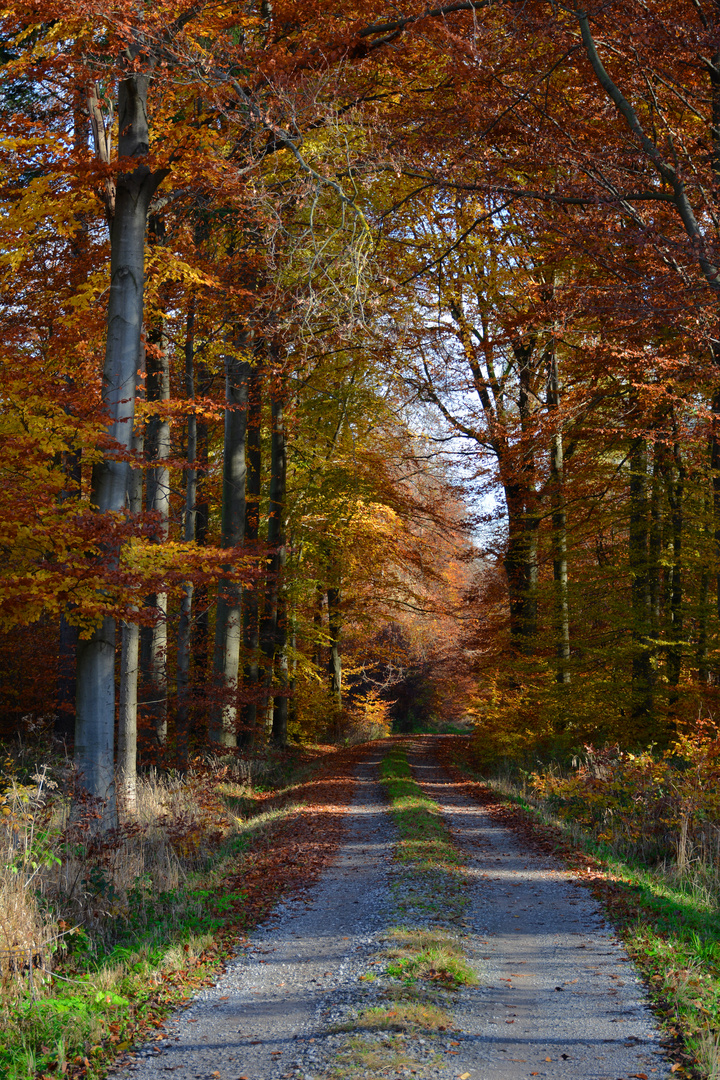 Herbst