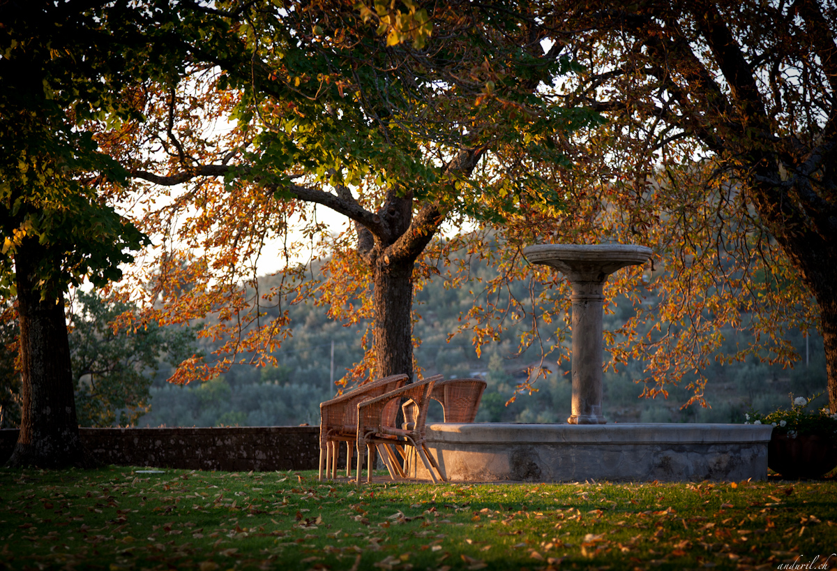 Herbst bei Arrezzo