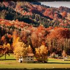 Herbst bei Bad Feilnbach