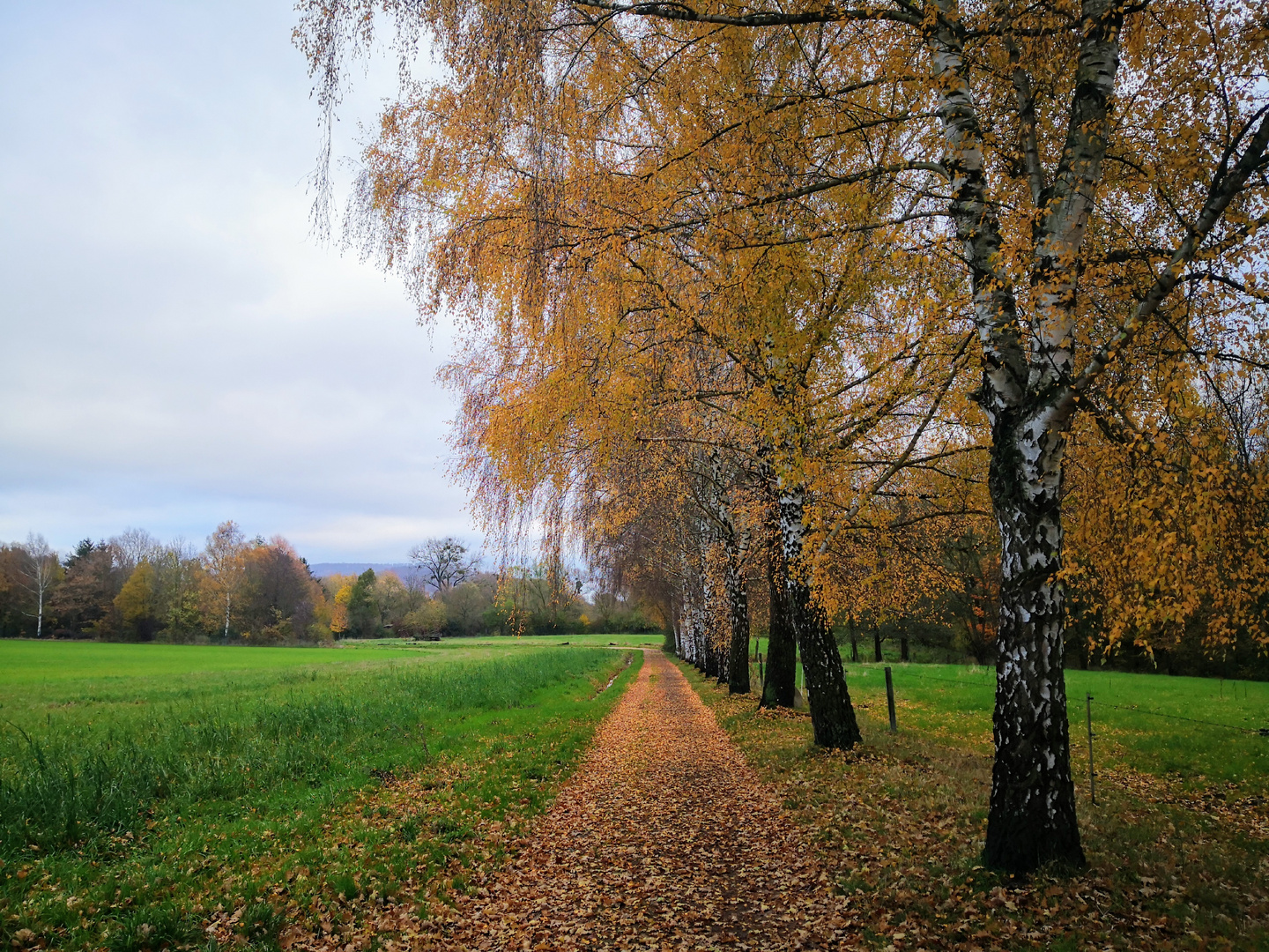 Herbst bei Bad Pyrmont