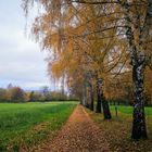 Herbst bei Bad Pyrmont