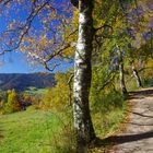 Herbst bei Birkenstein