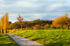 Herbst bei Birnau