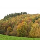 Herbst bei Böllstein im Odenwald