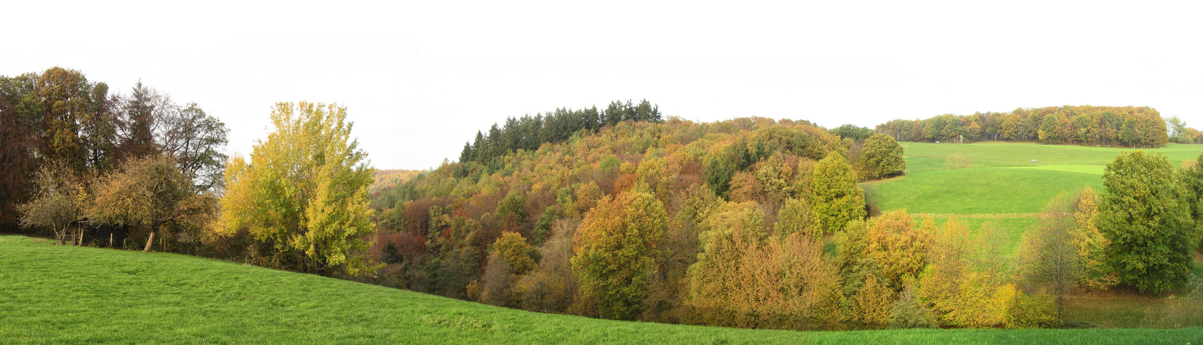 Herbst bei Böllstein im Odenwald