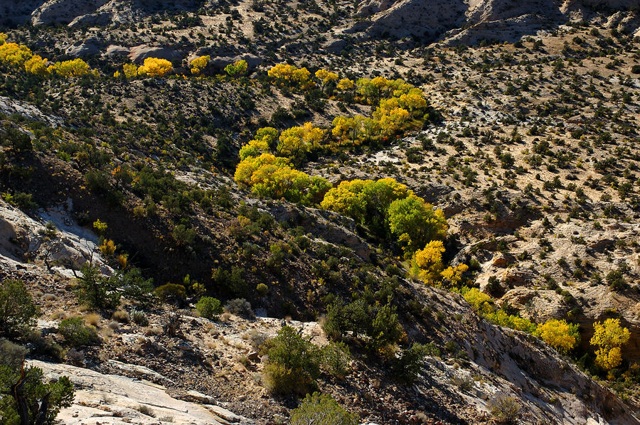 Herbst bei Boulder