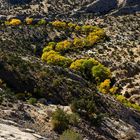 Herbst bei Boulder