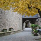 herbst bei burg Lichtenberg