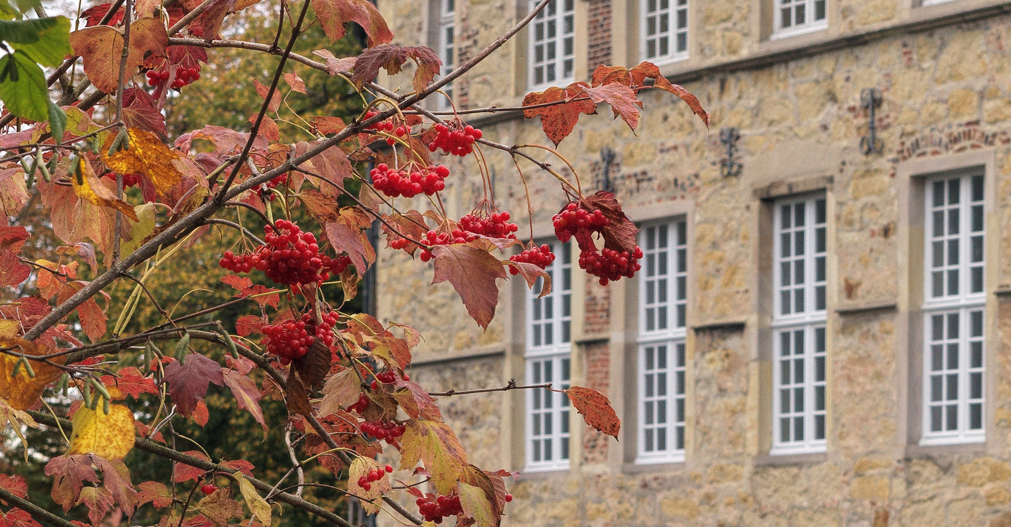 Herbst bei Burg Lüdinghausen