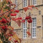 Herbst bei Burg Lüdinghausen