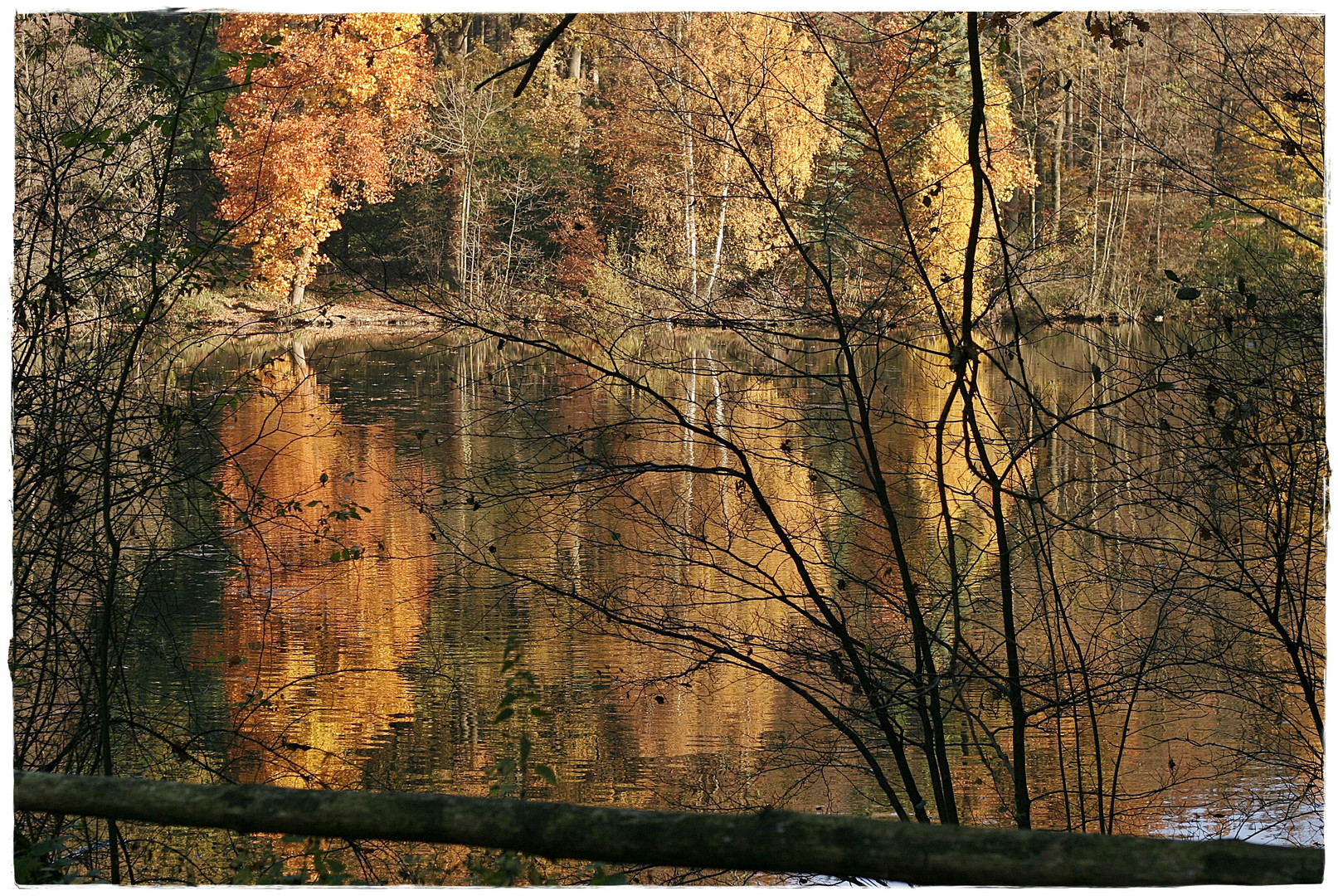 Herbst bei den "Försterteichen"