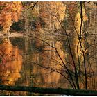 Herbst bei den "Försterteichen"