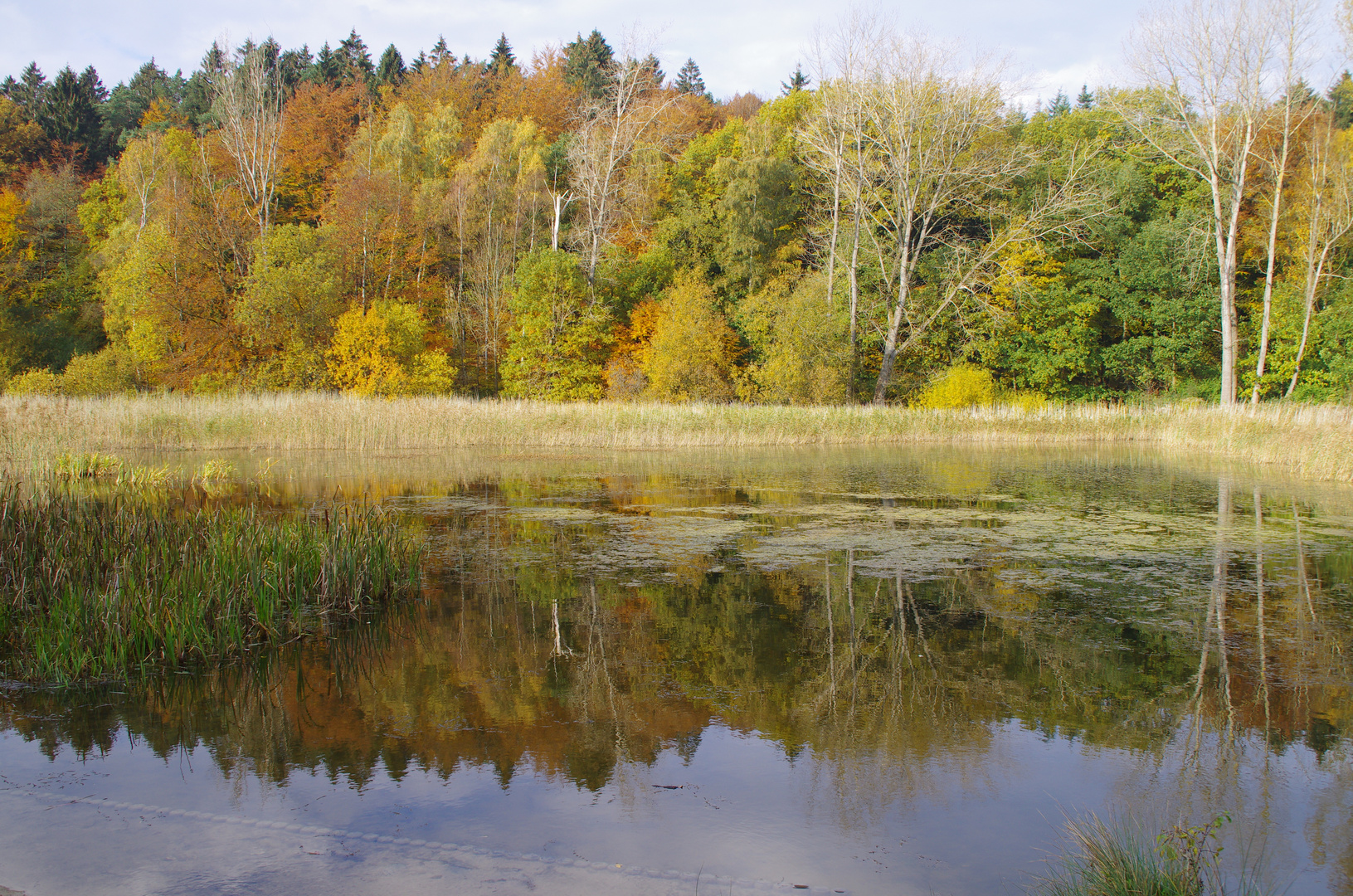 Herbst bei den Klosterteichen