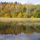 Herbst bei den Klosterteichen