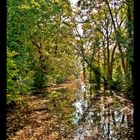 Herbst bei der Burg Wittlage