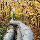 Herbst bei der Fernwärmeleitung