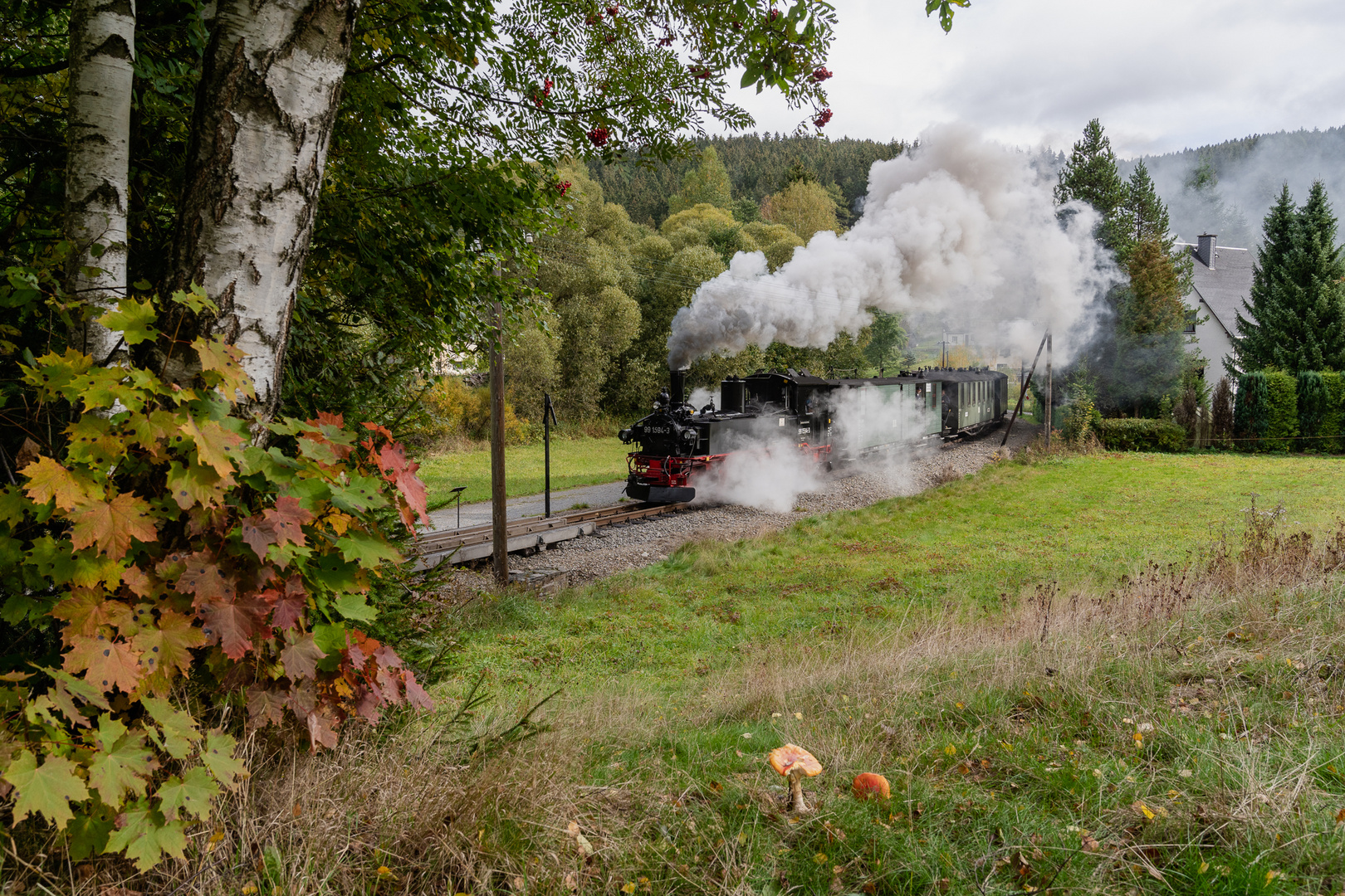 Herbst bei der Pressnitztalbahn