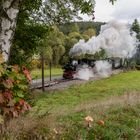 Herbst bei der Pressnitztalbahn