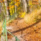 Herbst bei der Ruine Reußenstein